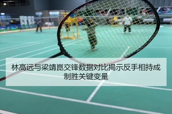林高远与梁靖崑交锋数据对比揭示反手相持成制胜关键变量