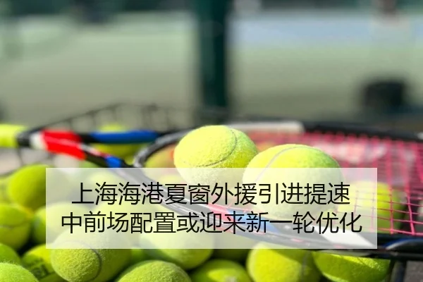上海海港夏窗外援引进提速 中前场配置或迎来新一轮优化