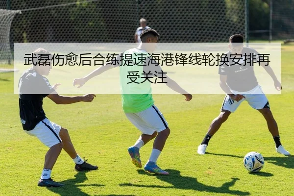 武磊伤愈后合练提速海港锋线轮换安排再受关注