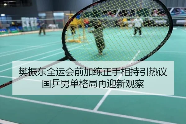 樊振东全运会前加练正手相持引热议 国乒男单格局再迎新观察
