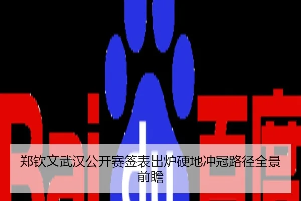 郑钦文武汉公开赛签表出炉硬地冲冠路径全景前瞻