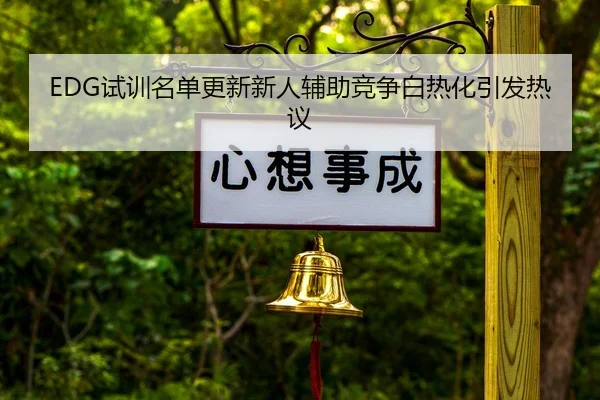 EDG试训名单更新新人辅助竞争白热化引发热议
